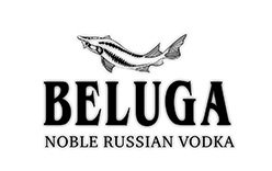 Beluga
